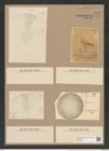 Stictodiscus hardmannianus Grev. (de-Toni-Nr.: Genus 205, Species 5224) Zeichnungen Sammlung Grunow Nr. 9015 (NHMW-BOT-W0378725)